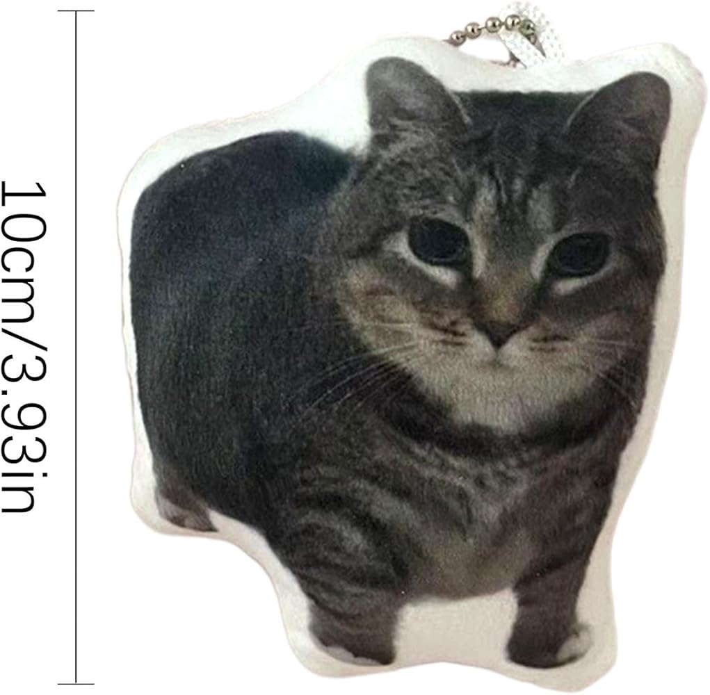 Amazon.co.jp: [Hcipw] oiia猫のぬいぐるみキーチェーン、ぬいぐるみ猫