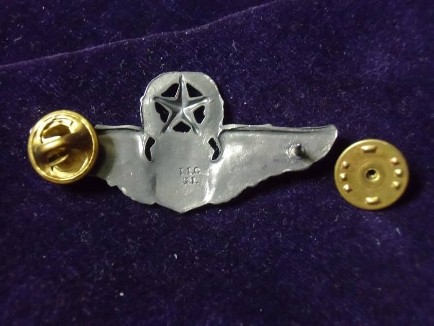 Amazon.co.jp: アメリカ軍の勲章/記章＊空軍＊マスターパイロット章