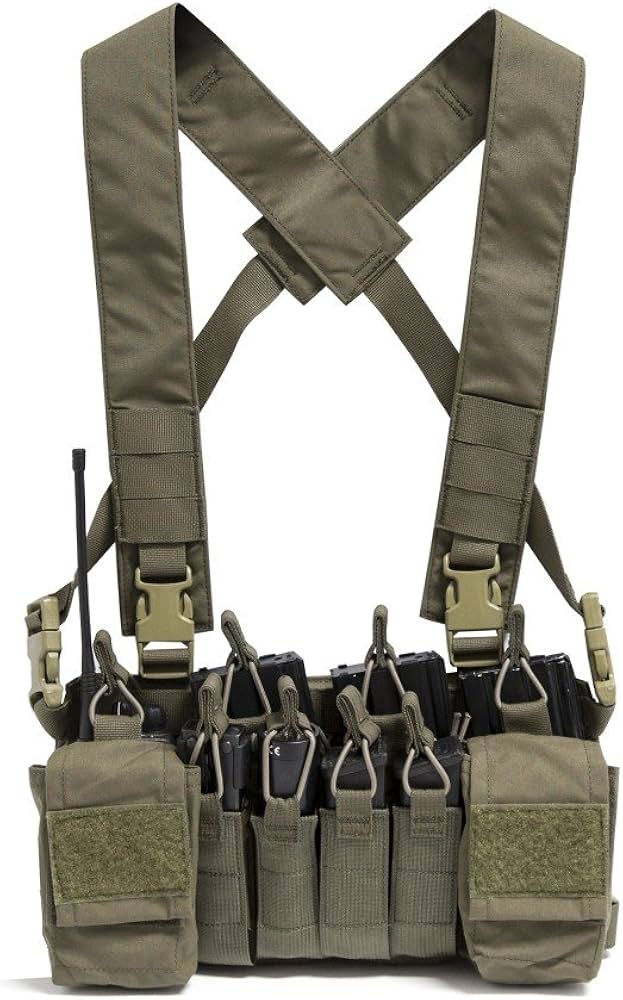 Amazon.co.jp: Haley StrategicパートナーDisruptive Environments