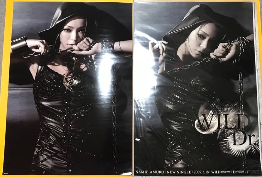 Amazon.co.jp: 安室奈美恵 ポスター B2ポスター Dr. wild : ホビー