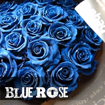 Amazon.co.jp: 成人式 成人お祝い プレゼント 枯れない プリザーブド