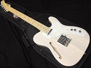 Amazon | FGN FUJIGEN NTE100MAHT WB フジゲン Neo Classic SERIES