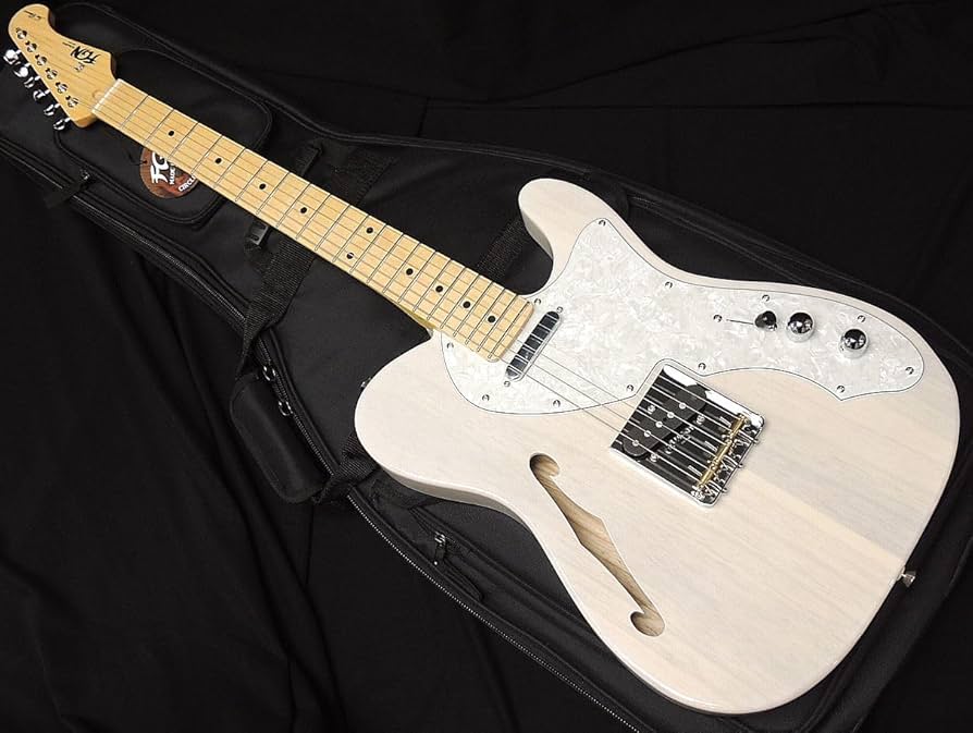 Amazon | FGN FUJIGEN NTE100MAHT WB フジゲン Neo Classic SERIES