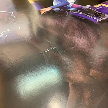 Amazon.co.jp: 非売品 競馬 ディープインパクト JRA ポスター感動を