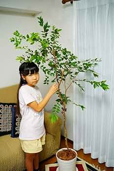 612uTThXwGL._AC_UF350,