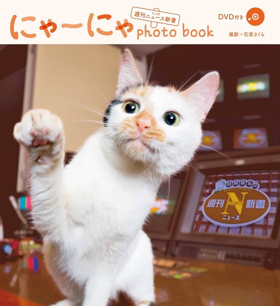 Amazon.co.jp: 『にゃーにゃ photo book from 週刊ニュース新書』 (綴