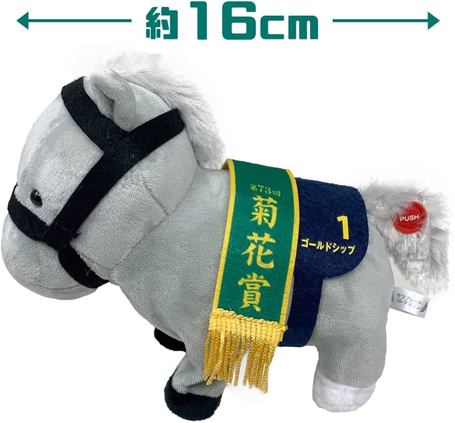 613GTXd2UwL._AC_UF894,