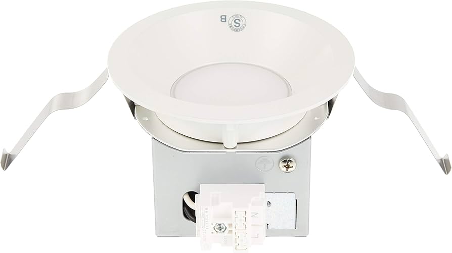 Amazon.co.jp: 大光電機（DAIKO） ダウンライト(軒下兼用) LED