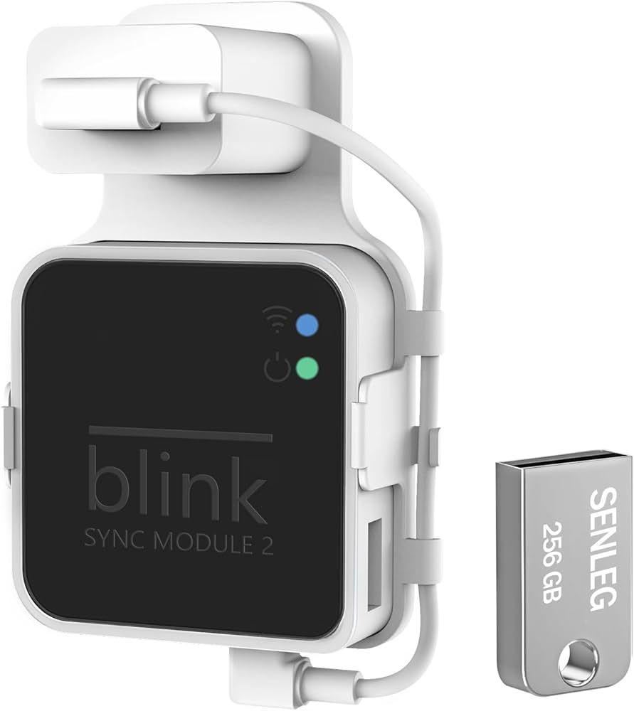 Amazon.com: 256GB Blink USB Flash Drive and Blink Sync Module 2