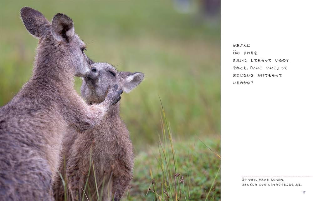 カンガルー | 木坂 涼, 村田浩一 |本 | 通販 | Amazon