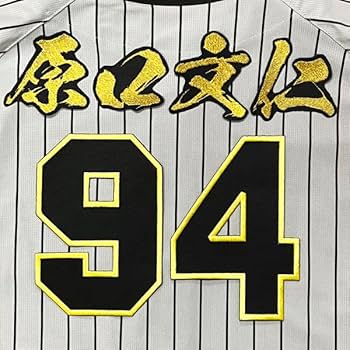 613P7PvYOCL._AC_UF350,