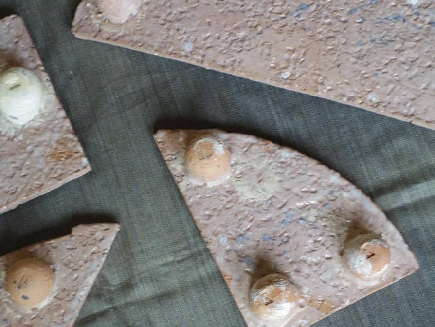 Amazon.co.jp: アロンサイス 足付組超大皿（45cm）共布 栞