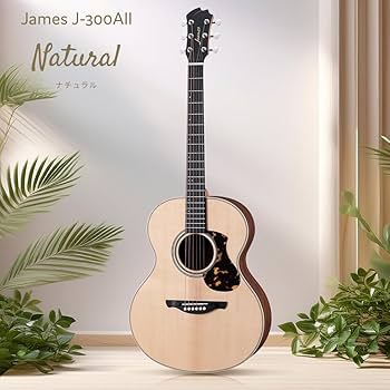 Amazon | James J-300AII アコースティックギター初心者12点セット
