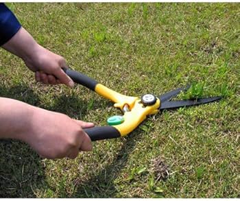 Amazon | サボテン 芝生鋏 1580 | 園芸用はさみ