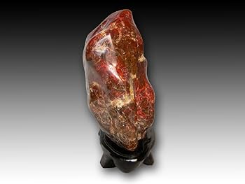 61u0wonjEnL._AC_UF350,