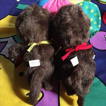 Amazon.co.jp: 現在のふたごのモンチッチ 仲良し2体セット Sサイズ18cm