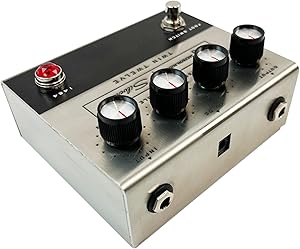 MAD PROFESSOR Super Black FAC - ブラックフェイス期のフェンダー