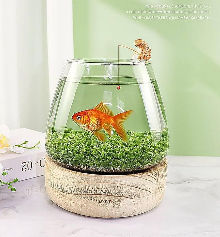 Amazon | 金魚鉢 花瓶 ガラス 花びん テラリウム 観葉植物 インテリア