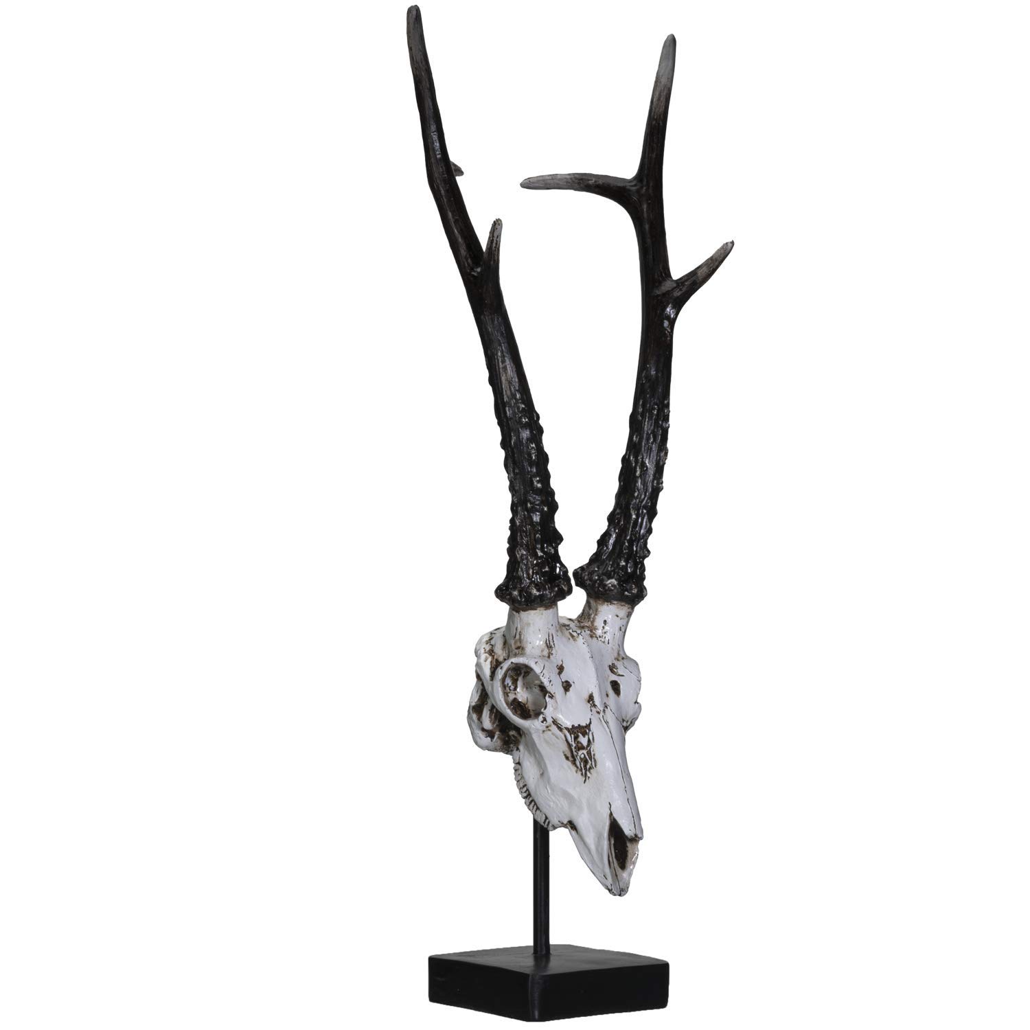 Amazon.co.jp: SUMMIT COLLECTION ポリストーン 鹿の頭蓋骨 金属製