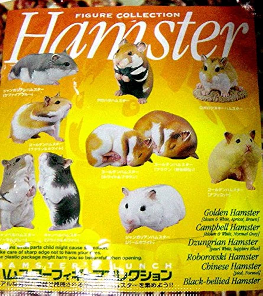 Amazon.co.jp: 北陸製菓 ハムスターズランチ 全12種＋シークレット2種