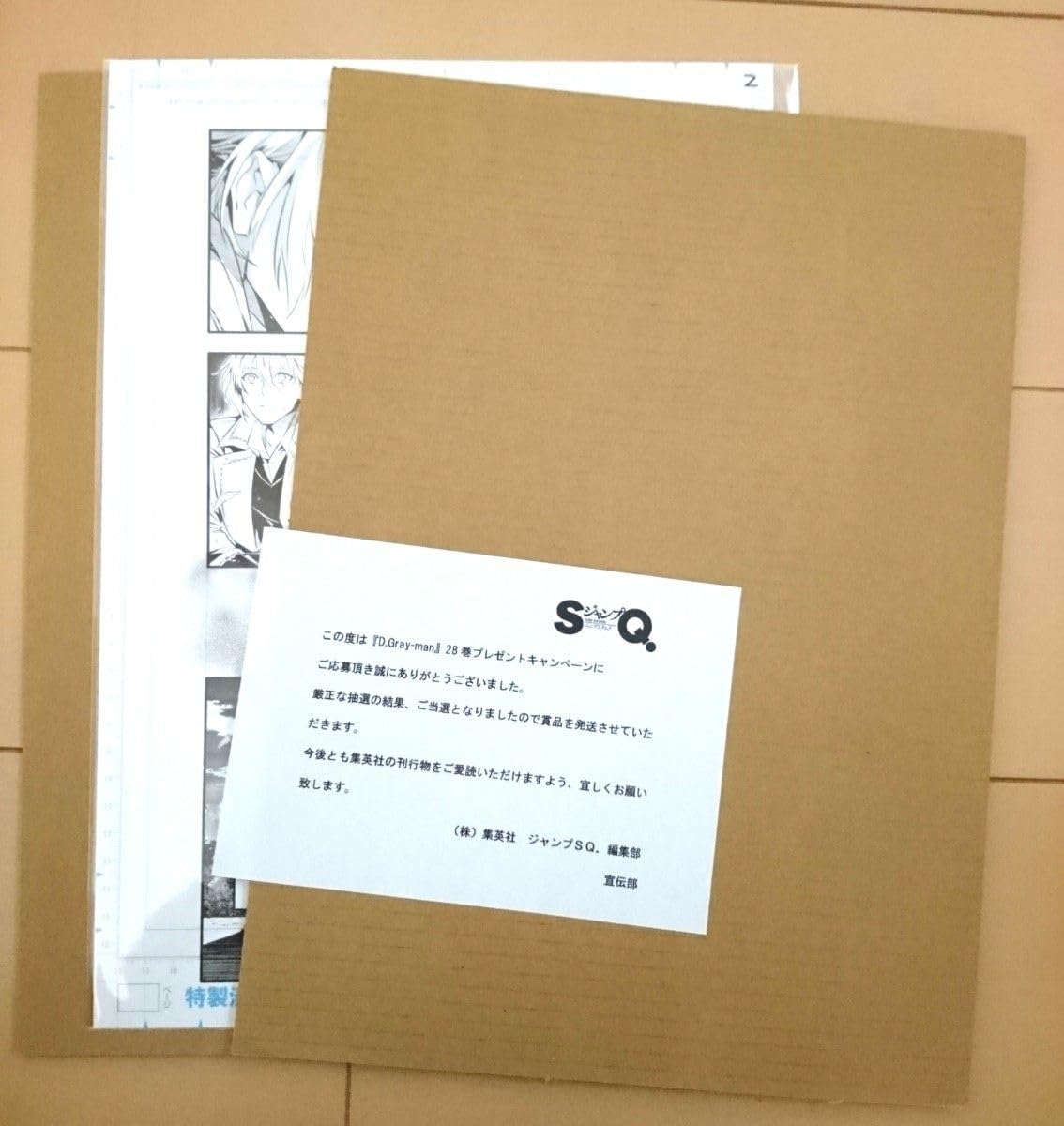 Amazon.co.jp: D.Gray-man 複製原稿レプリカ Dグレ ジャンプSQ.RISE