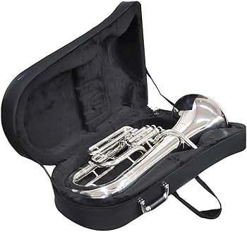 Amazon | PLAYTECH (プレイテック) 銀めっき仕上げ ユーフォニアム 4