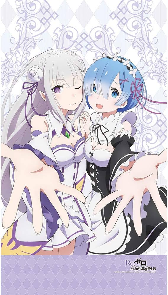 Amazon.co.jp: 【カーテン魂】[Re:ゼロから始める異世界生活]のれん