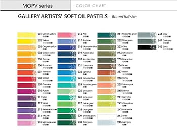 Amazon.com: MUNGYO Gallery Artists' Soft Oil Pastels Professional