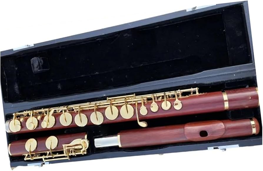 Amazon | プロフェッショナルフルート 木製アルトフルート G トーン 16