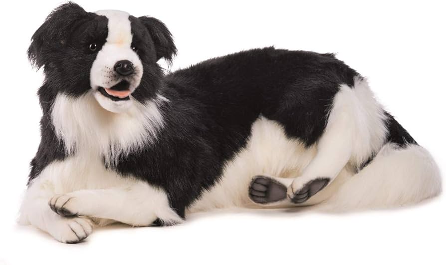 Amazon.co.jp: HANSA ボーダーコリー 84.99x40.01x32 cm アクリル No