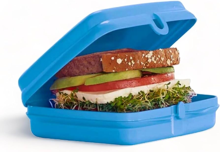 Amazon.com: Tupperware Sandwich Keeper Set of 2 in Blue: Home