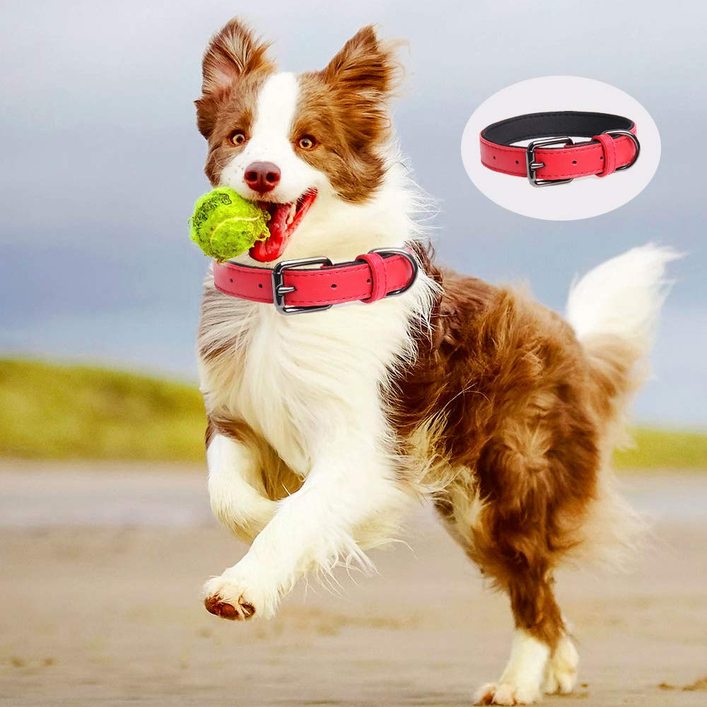 Amazon | 犬 首輪 犬の首輪 犬首輪 革 犬用 小型犬・中型犬・大型犬