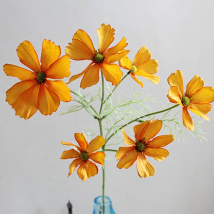 Amazon.com: KWQBHW 6 Pcs Artificial Wild Flower Cosmos Long Stem