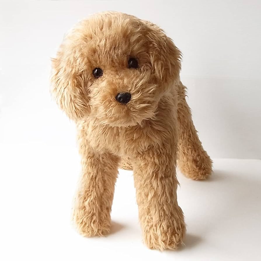 Amazon.co.jp: ニニアンドキノ ぬいぐるみ 犬 リアル トイプードル