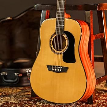 Amazon.com: Washburn Apprentice D5 with Case, Acoustic Guitar