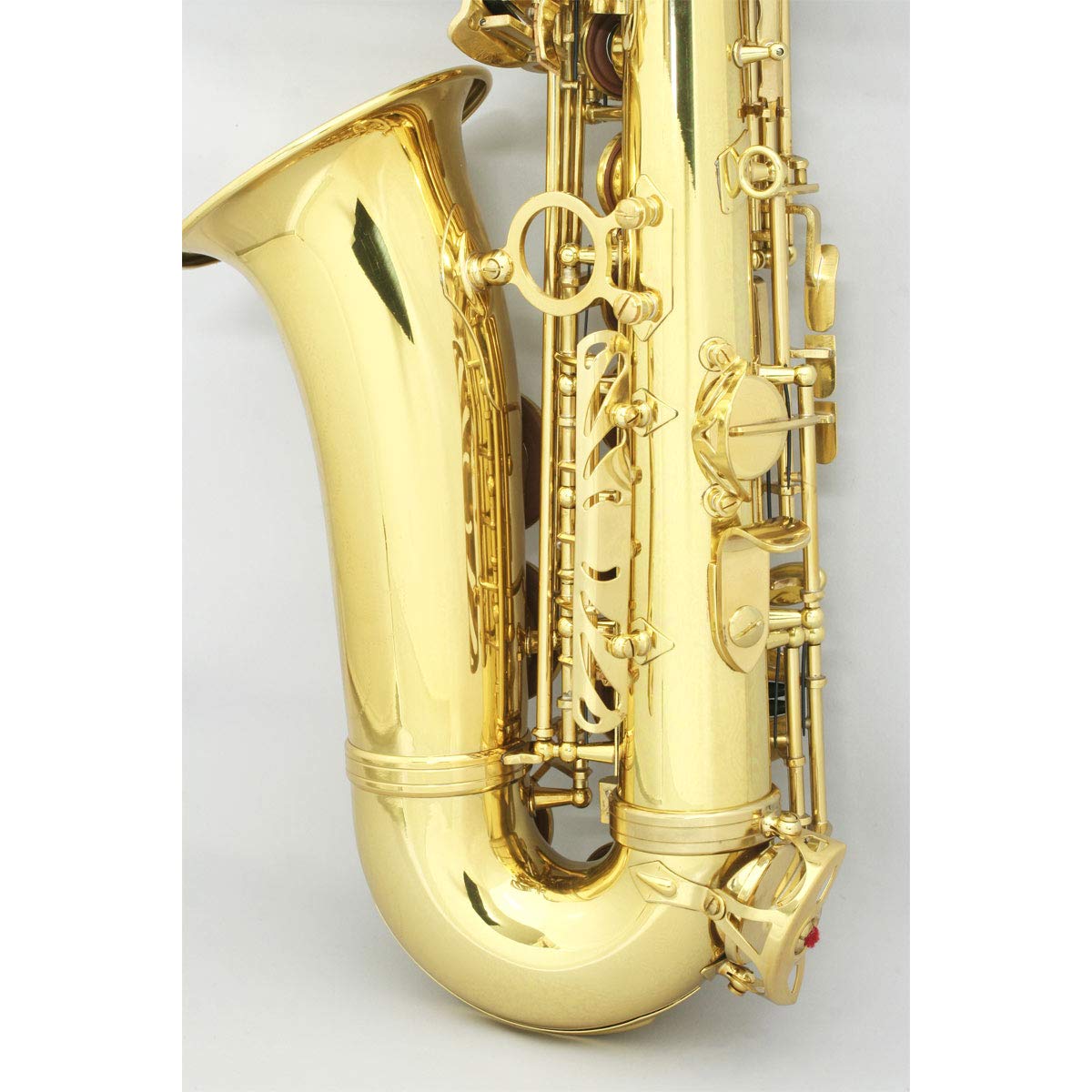 Amazon | SELVA/初心者向けアルトサックス入門セット Alto Sax SAS-100