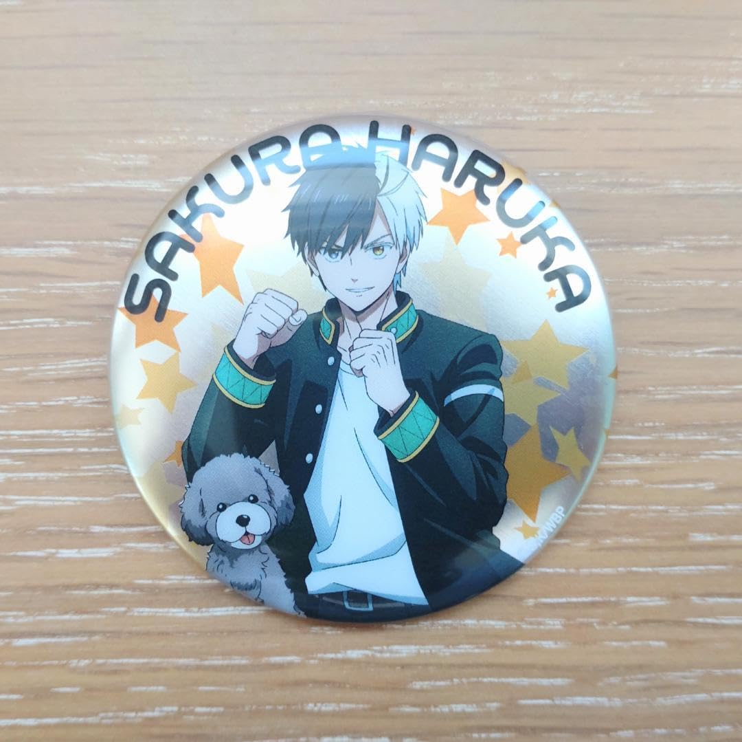 WIND BREAKER ウィンブレ 桜遥 缶バッジ ロフト LOFT WINDBREAKER 桜遥