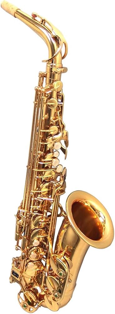 Amazon | DeYu A500 入門用アルトサックス (デユー) | サックス | 楽器