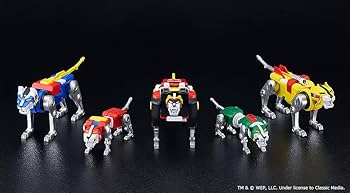 61xymTFgauL._AC_UF350,