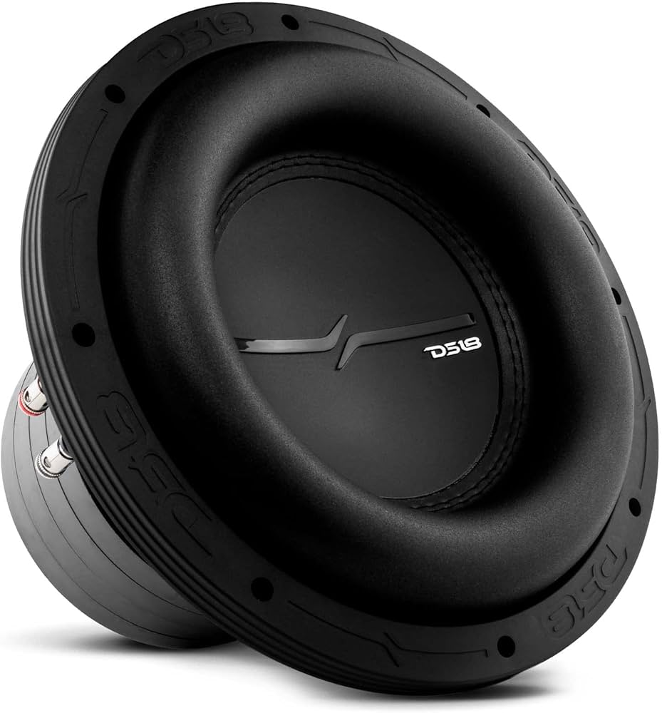 Amazon.com: DS18 ZXI10.4D 10 Inches High Excursion Car Audio