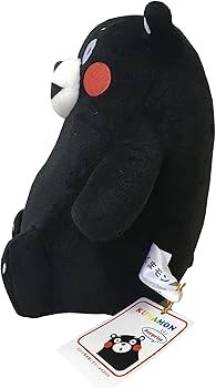 61yOA7uRBES._AC_UF350,