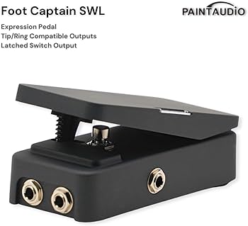 Amazon | Paint Audio フットキャプテン デュアル出力