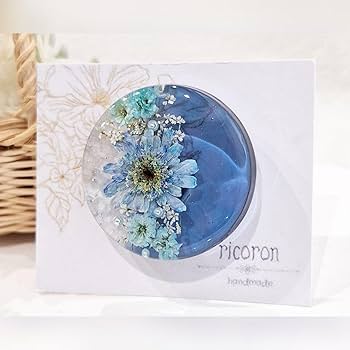 Amazon.co.jp: レジン 大人可愛い ヘアゴム ポニーフック ブローチ