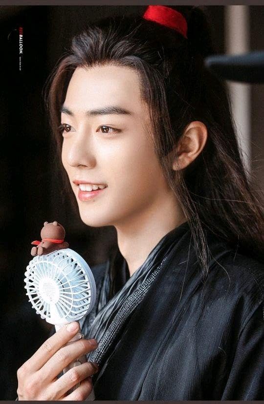 Amazon.co.jp: 陳情令 陈情令 肖战 肖戦使用 同デザインのハンディ