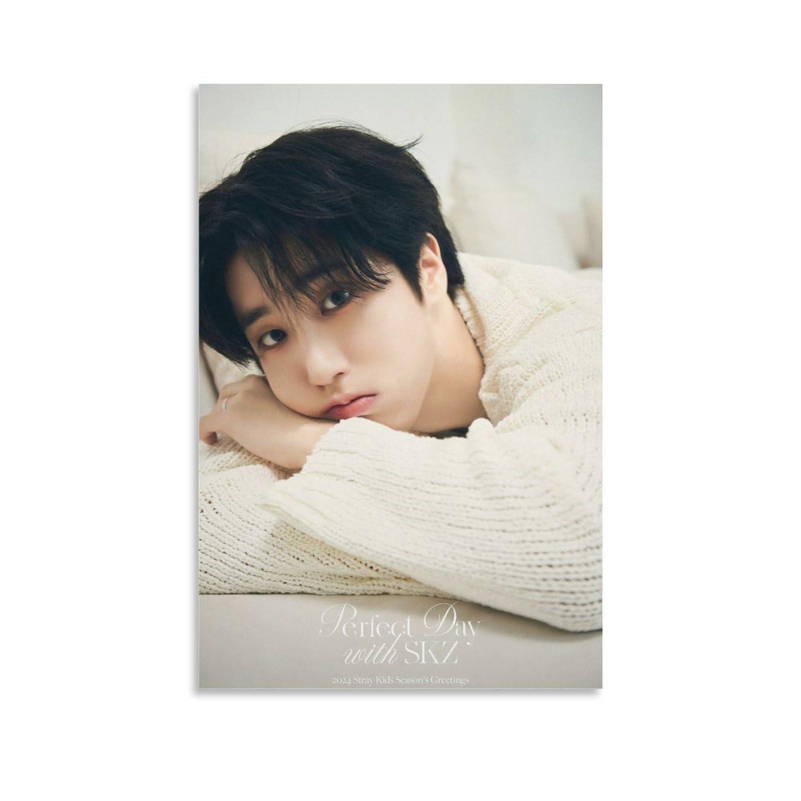 Kpop Artist Poster Stray Kids Han 2024 Seasons Greetings Perfect