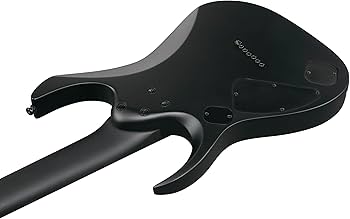 Amazon | Ibanez(アイバニーズ) IRON LABEL/リバースヘッドRGD 7弦
