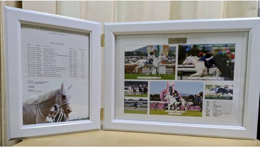 非売品】100個限定ソダシ引退記念写真入デザインパネル☆シリアル