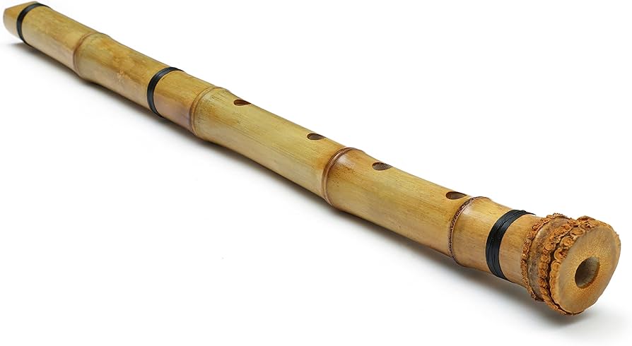 Amazon | Mocoluz 尺八 初心者 セット つゆきり 収納 保護ケース付き