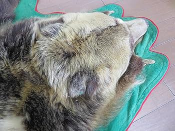 Amazon.co.jp: 熊毛皮ラグカーペット 敷物ラグマットカーペット