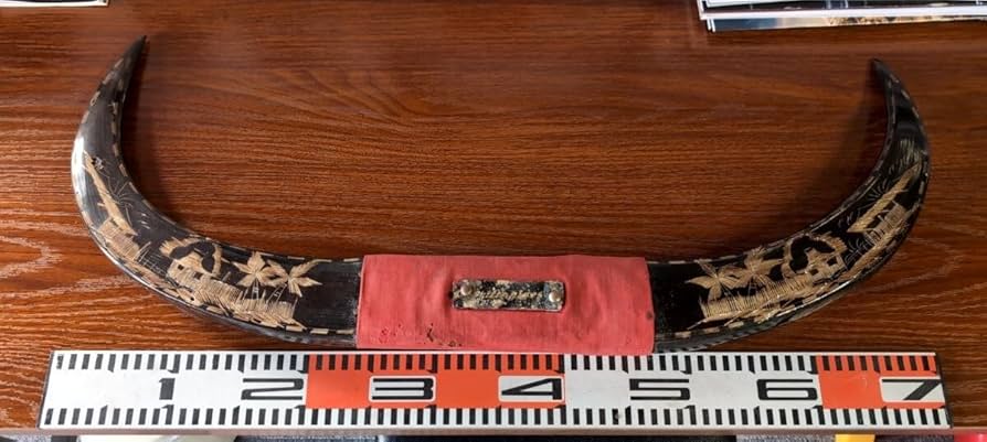 Amazon.co.jp: 水牛 角 置物 インテリア 装飾 オブジェ 飾り